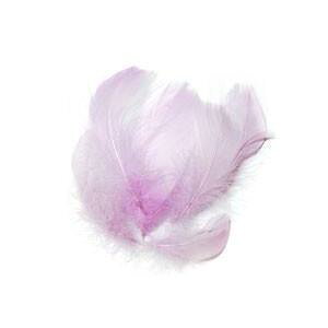 AtFU[ S3 6 O[X zz RL[ A[gtFU[lC lCeBu {w~A H ANZT[ h[Lb`[ nhCh