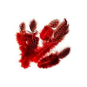 AtFU[ S3 6 O[X zz RL[ A[gtFU[lC lCeBu {w~A H ANZT[ h[Lb`[ nhCh