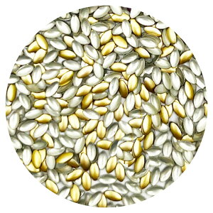 A~ X^bY [t^i1.5mm×3mmj 100 NbN|XgOKyWF/lC/CXg[/p[c/XNGA/AC/Hot fixz