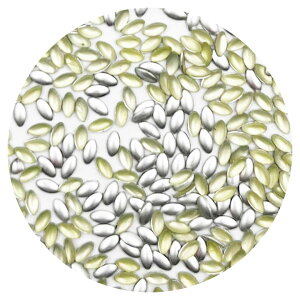 A~ X^bY [t^i1.5mm×3mmj 100 NbN|XgOKyWF/lC/CXg[/p[c/XNGA/AC/Hot fixz