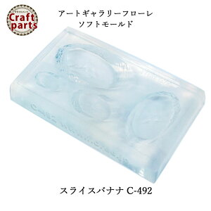 A040 A[gM[t[ \tg[h C-492 XCXoii