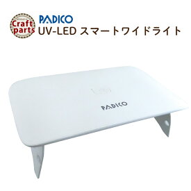 パジコ UV-LED スマート ワイド ライト 【数量限定 ポーチ付き】 33889