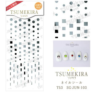 �y�݌Ɍ���SALE�z�c���L�� T53 rrieenee×junjun nail �v���f���[�X1�@Mulch Mode Plate silver�i�W�F����p�j �l�C���V�[�� SG-JUN-103 80363