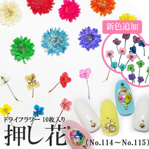  hCt[ i114-115j P[X 10