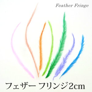 tFU[ tW 2cm 1-20
