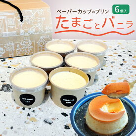 お中元 【1000円OFFクーポン】 たまごとバニラBOX6 105g×6個 ペーパーカップ 贅沢 プリンタイム 三重県産 低温調理 とろける口どけ 三重県産たまご 北海道産生クリーム てんさい糖 バニラビーンズ 濃厚なコク
