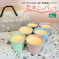 お中元 【1000円OFFクーポン】 たまごとバニラカラフルBOX6 100g×6個 高級 陶磁器 贅沢 プリンタイム 三…