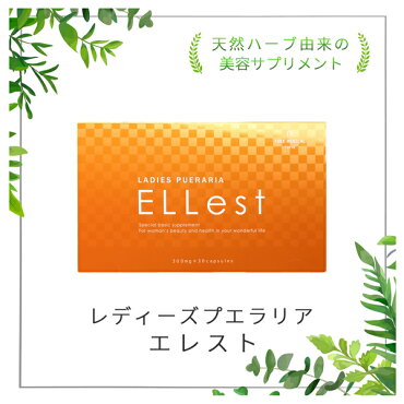 バストケアサプリレディーズプエラリアエレスト