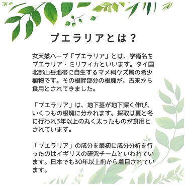 バストケアサプリレディーズプエラリアエレスト