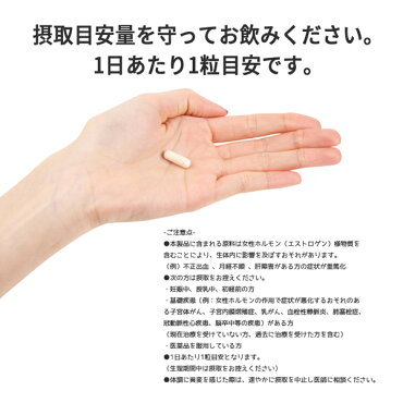 バストケアサプリレディーズプエラリアエレスト