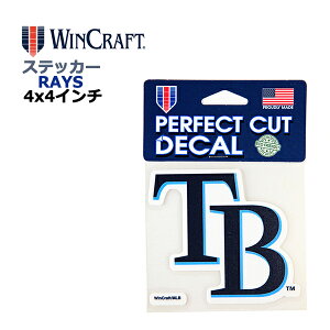 WINCRAFT EBNtg ^pxC CY XebJ[ Tampa Bay Rays Perfect Cut Color Decal 4x4C` fJ[ (CYObY/CZX/MLB/W[[O/J[pi/J[ANZT[/t@O