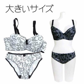 送料無料 大きいサイズ(C-F) ブラジャー＆ショーツセット パンティ 下着 大寸ロゴプリントブラジャー＆パンティ ワイヤー入り ランジェリー レディース下着 下着上下セット ブラショーツセット 4157408-9274