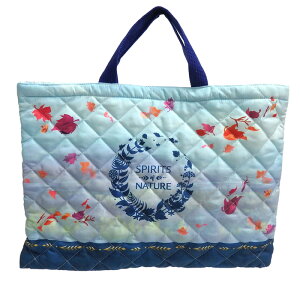 楽天市場 送料無料 アナ雪 レッスンバッグ キルト 女の子 スクールバッグ ディズニー アナと雪の女王 アナ エルサ オラフ トートバッグ ネームチャーム式 名前欄 通学 通園 入学 小学生 保育園 幼稚園 レッスンバッグ 子供用 手提げ お稽古 Bag Sho X7101 555