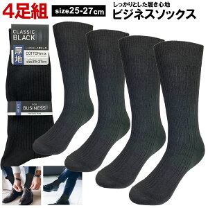 4g C Y rWlX\bNX N[ n u H~ ʋ ʊw ȍ  n ubN 25-27cm   ubN  JWA amp X[c 