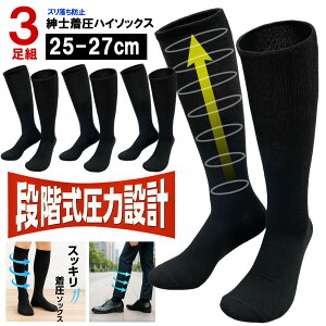  C Y iK  nC\bNX 3g 25-27cm ubN n amC ȍ Yɂ rWlX\bNX u  ʋ d i yVqɏo