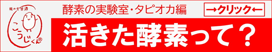生甘酒こうじくんで、活きた酵素の実験をしました