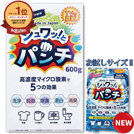 シュワッ！とパンチ 洗浄剤 ジェル カビ 黒ずみ 油汚れ ヌメリ 風呂 水回り 風呂用洗浄剤 洗浄 脱脂 除菌 漂白 消臭 漂白剤 シュワっとパンチ シュワッとパンチ しゅわっとパンチ しゅわっとぱんち