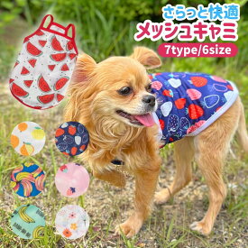 【スーパーSALE10％OFFクーポン】犬 服 犬の服 夏用 小型犬 超小型犬 中型犬 キャミソール メッシュ チワワ 柴犬 トイプードル 小型犬 男の子 女の子 通気性 涼しい 紫外線 クール ひんやり UVカット かわいい おしゃれ