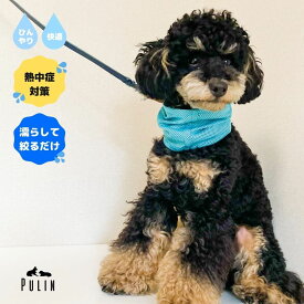 【スーパーSALE10％OFFクーポン】犬 犬用 クールネック ネッククーラー ひんやりグッズ 保冷剤 クールリング 犬熱中症対策グッズ ペット 冷却ネック クールバンダナ 夏 冷感グッズ 冷却グッズ 暑さ対策 ペット 散歩 熱中症対策 犬 冷感バンダナ