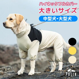 大型犬用のレインコート｜着せやすい！人気の犬用雨着のおすすめを教えて！