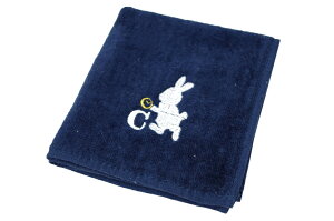 [ 󒍐Y ] nh^I  hJ ( CjV / K  fUC ) | w 킢 q z A j Mtg  w ̎q j̎q Ӊ a  