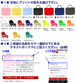 ハンドメイドオリジナル名入れデザイン(ライオン)レッスンバッグ女女の子男男の子小学生幼稚園名入れ