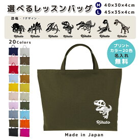 [受注生産] 名入れ レッスンバッグ マチ付き コットン素材 ( Mサイズ 40 × 30 / Lサイズ 45 × 35 )( イニシャル / 恐竜 ティラノサウルス トリケラトプス ブラキオサウルス プテラノドン プレ