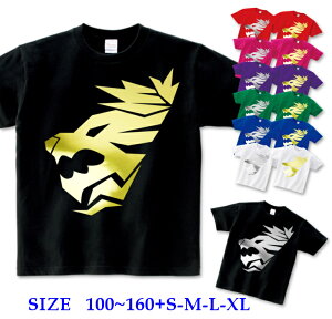 [�󒍐��Y] ���� T�V���c �L�b�Y �e�q �y�A [ 100-160cm S-XL ] �g���C�o�� ���C�I�� ���q �� ( �� �S�[���h �� �V���o�[ )