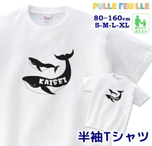 _11߂܂500~OFF!ɕpN[|L^  TVc [ 80-XL ] ( NW ) |  ~ C  mg[ eq yA Ƒ  O Vv  oYj LbY qǂ l 