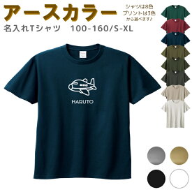 【店内最大1000円OFFクーポン有】 名入れ Tシャツ [ 100-XL ] ( 飛行機 ) | リンクコーデ 親子 セット キッズ 子供 レディース メンズ おおきいサイズ 女の子 男の子 100 110 120 130 140 150 160兄弟 お揃い ペアルック テ