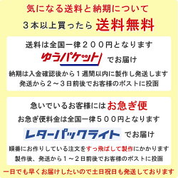 文字入れアンクレットミサンガ【正式名プルセイラ】名入れ名前入れ足足首みさんがあんくれっとつけっぱなしメンズ