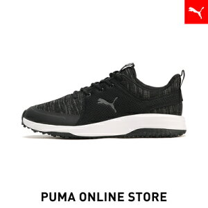 Y St Obv t[W X|[c3.5 XpCNX V[Y