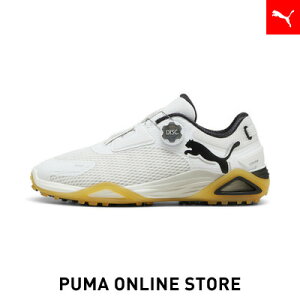 Y St VhELbg jg fBXN XpCNX V[Y