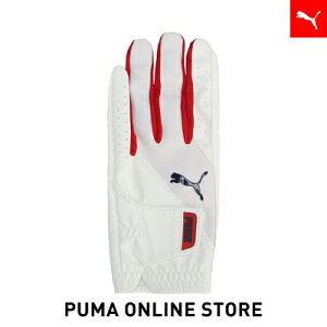 w|Cg10{ 11/10 0:00`11/11 01:59xY St WWP Obv O[u p