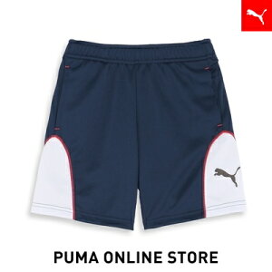 w|Cg10{ 12/3 20:00`12/6 01:59xLbY {[CY ANeBu X|[c g[jO V[c 120-160cm