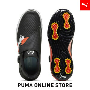 Y St t@gLbg jg fBXN XpCNXV[Y