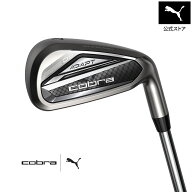 メンズ ゴルフ COBRA DS-ADAPT アイアンセット NS PRO 950 GH neo