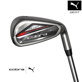 メンズ ゴルフ COBRA COBRA DS-ADAPT アイアンセット NS PRO 950 GH neo