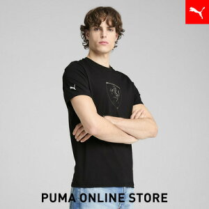 Y tF[ [X g[i rbO V[h  TVc