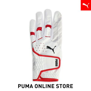 w|Cg10{ 12/3 20:00`12/6 01:59xY St p[ Obv O[u p