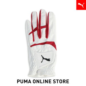 w|Cg10{ 12/3 20:00`12/6 01:59xY St t[W Obv O[u 3.0 p