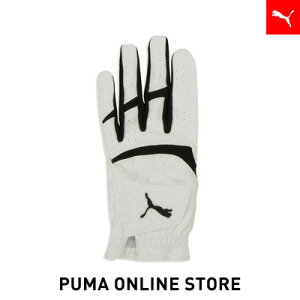 w|Cg20{ 12/1 0:00`12/1 23:59xY St t[W Obv O[u 3.0 p Y