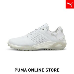 Y VhELbgjg U[ XpCNV[Y Y