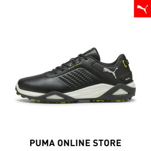 Y VhELbgjg U[ XpCNV[Y Y