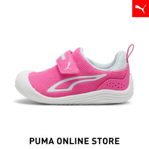 w|Cg10{ 11/15 0:00`11/16 01:59xxr[ v[} Lbe bV V Xj[J[ 12-16cm LbY