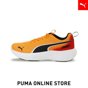 w|Cg10{ 11/25 0:00`11/26 01:59xLbY Xs[h X^[ V5 PL Xj[J[ 21-24cm LbY