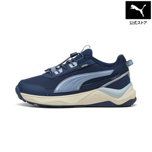 �w�|�C���g20�{ 9/15 0:00�`9/21 1:59�x�y�����z PUMA �v�[�} �L�b�Y �G�{���u 2.0 �g���C�� PTX ���E �X�j�[�J�[ 22-25cm Evolve2.0 TrailPuretex Lo Jr �L�b�Y