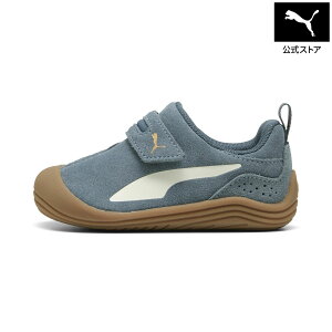 �w�|�C���g20�{ 10/14 20:00�`10/21 1:59�x�y�����z PUMA �v�[�} �x�r�[ �v�[�} �L�b�e�� PRM V �X�j�[�J�[ 12-16cm Puma Kitten Premium V Inf �L�b�Y