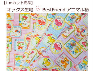 yXIWi1mJbgnzyIbNXnBest Freand Aj}z21//gAj}/킢̎qwpn/Вpni1077j