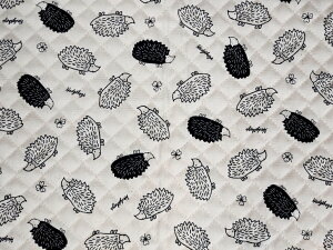 yXIWiz50cmJbgLgCX^fNX ͂˂ݕLg2022@``